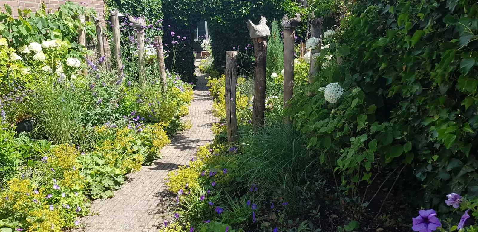 Onderhouden tuinpad met bloeiende borders en houten palen